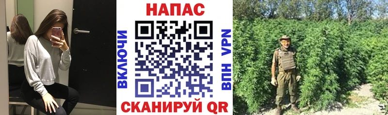 Все наркотики Шумерля Конопля  Амфетамин  Меф мяу мяу  mega ССЫЛКА  COCAIN 