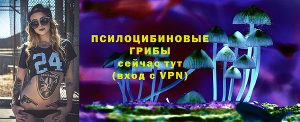 a pvp Алзамай