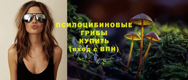a pvp Алзамай