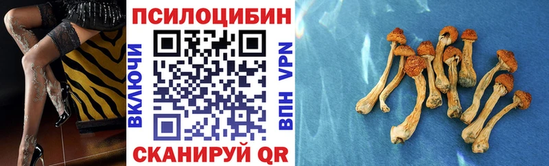 Галлюциногенные грибы прущие грибы  закладка  это какой сайт  Шумерля 