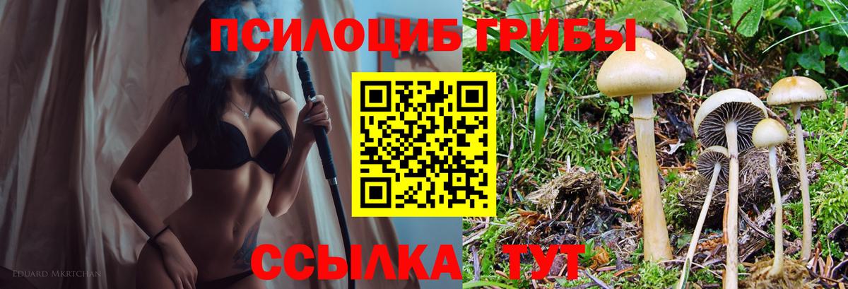 Галлюциногенные грибы мухоморы  Псилоцибиновые грибы Psilocybe  Шумерля  Вход с VPN 