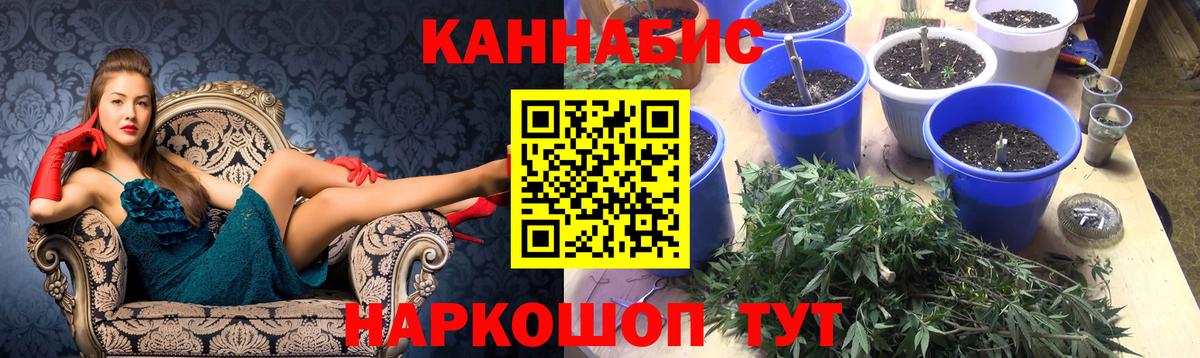 Канабис Amnesia  Каннабис план  Вход с VPN  Шумерля  Шишки марихуана Amnesia  Канабис THC 21% 